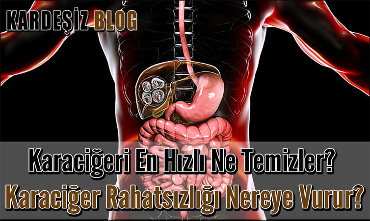 Karaciğeri En Hızlı Ne Temizler