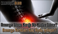 Omurga Stres Kırığı Ne Kadar Sürer