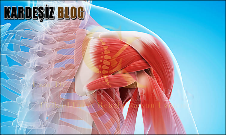 Omuz Tendonu Yırtığı Ameliyatı Olmazsa Ne Olur