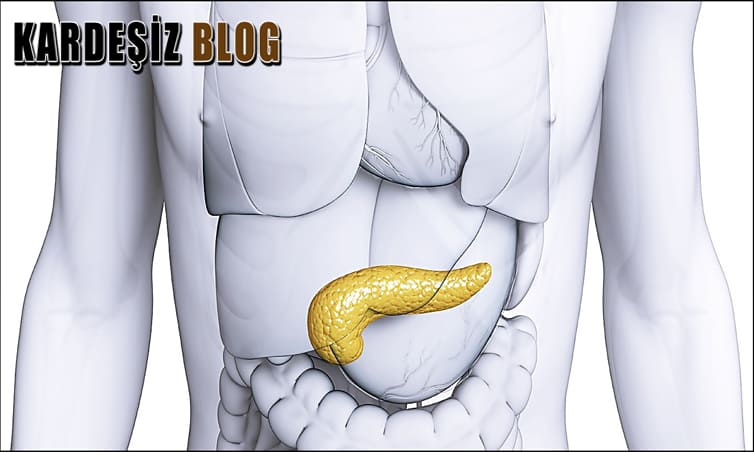 Pankreas iltihabı Nereye Vurur
