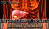 Safra Kesesi Rahatsızlığı Nereye Vurur